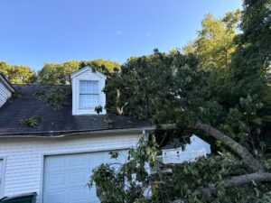 Storm damaged roof in Central Falls, RI, with tree debris and a broken tree limb on the roof and siding.