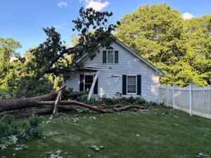 Storm damage to a Providence, RI home, with a large tree fallen on the roof and siding.