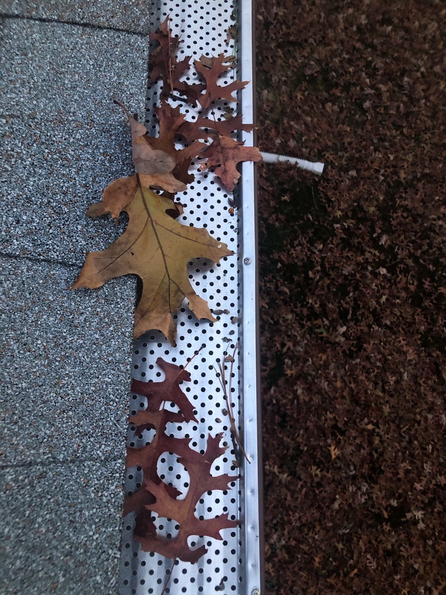 Leaf guard and downspout detail East Greenwich RI gutter system