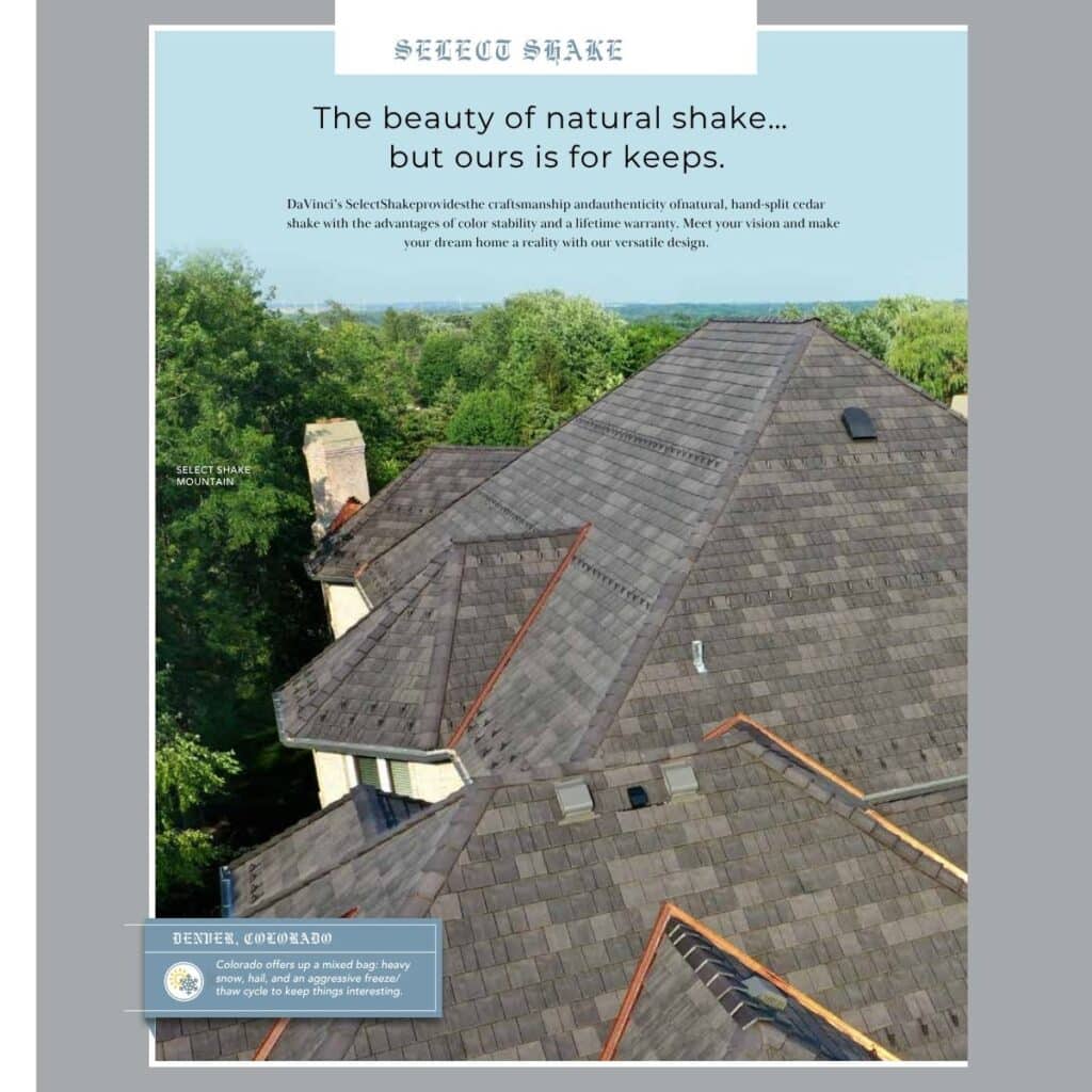 Davinci Shake Home 1200 4