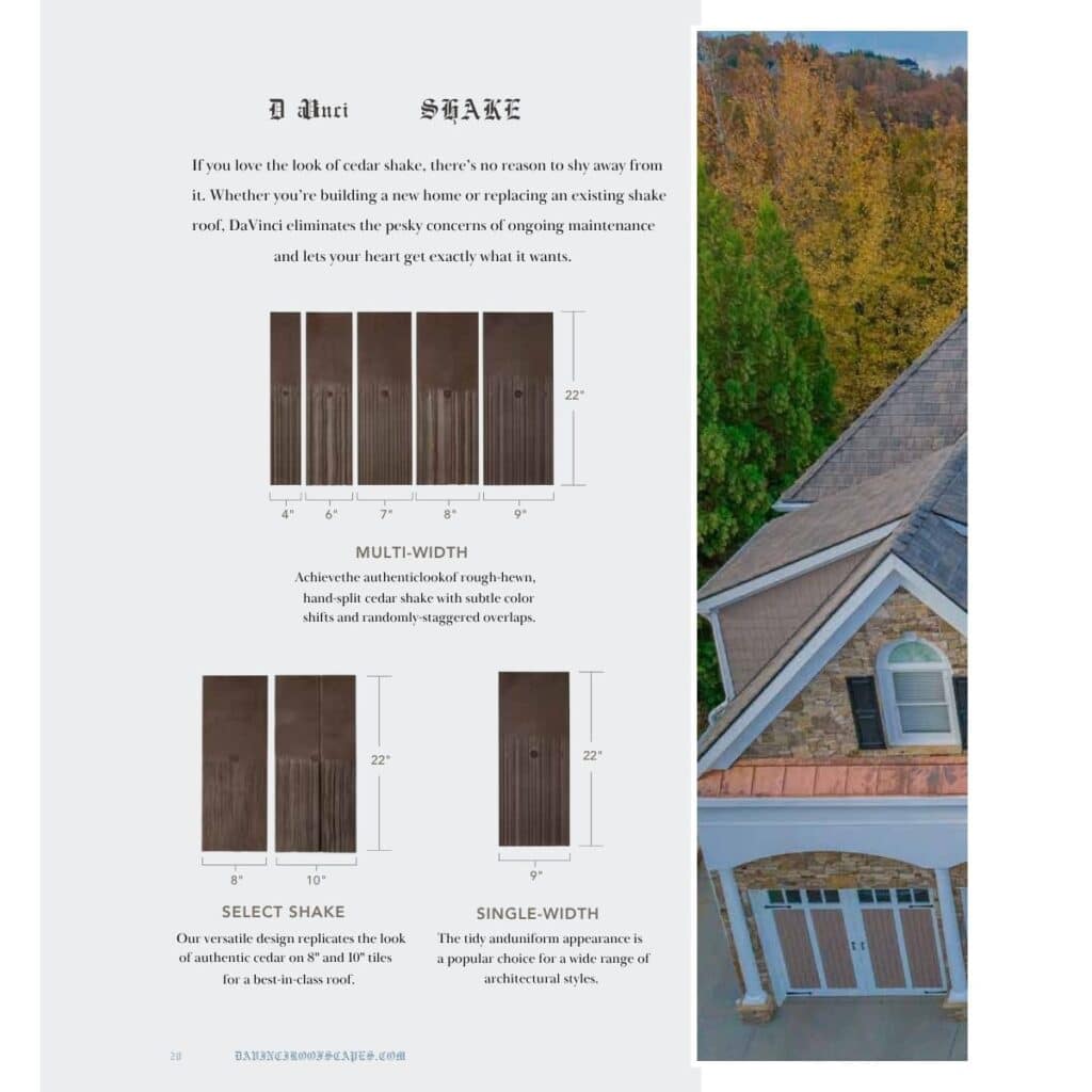 Davinci Shake Page 1 1200