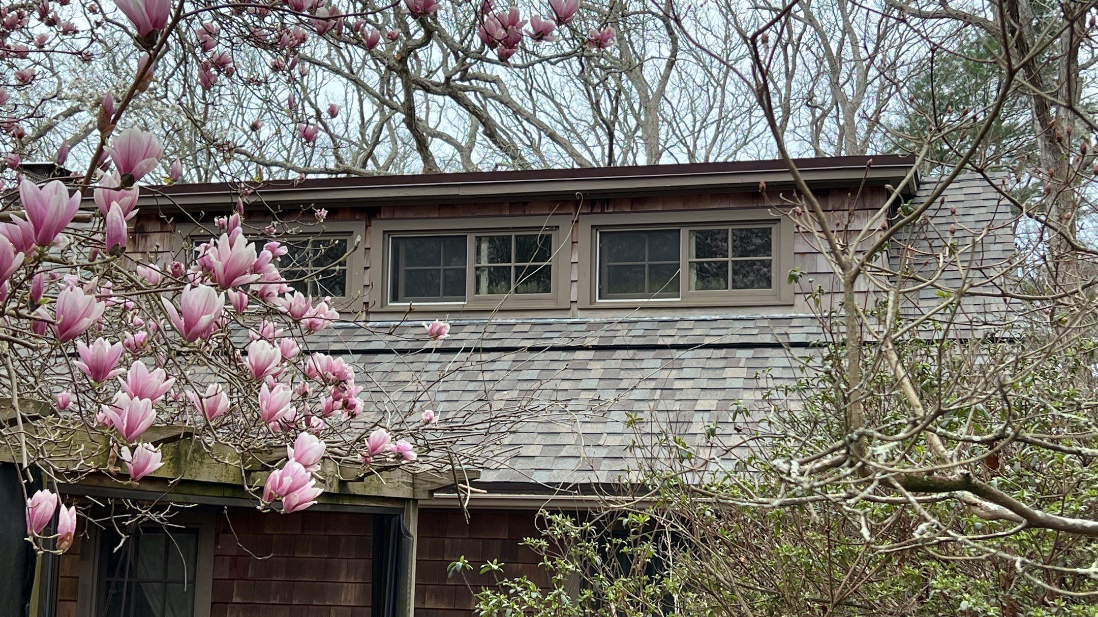 Dormer windows and new roof edge framed by spring magnolia, South Kingstown roof repair
