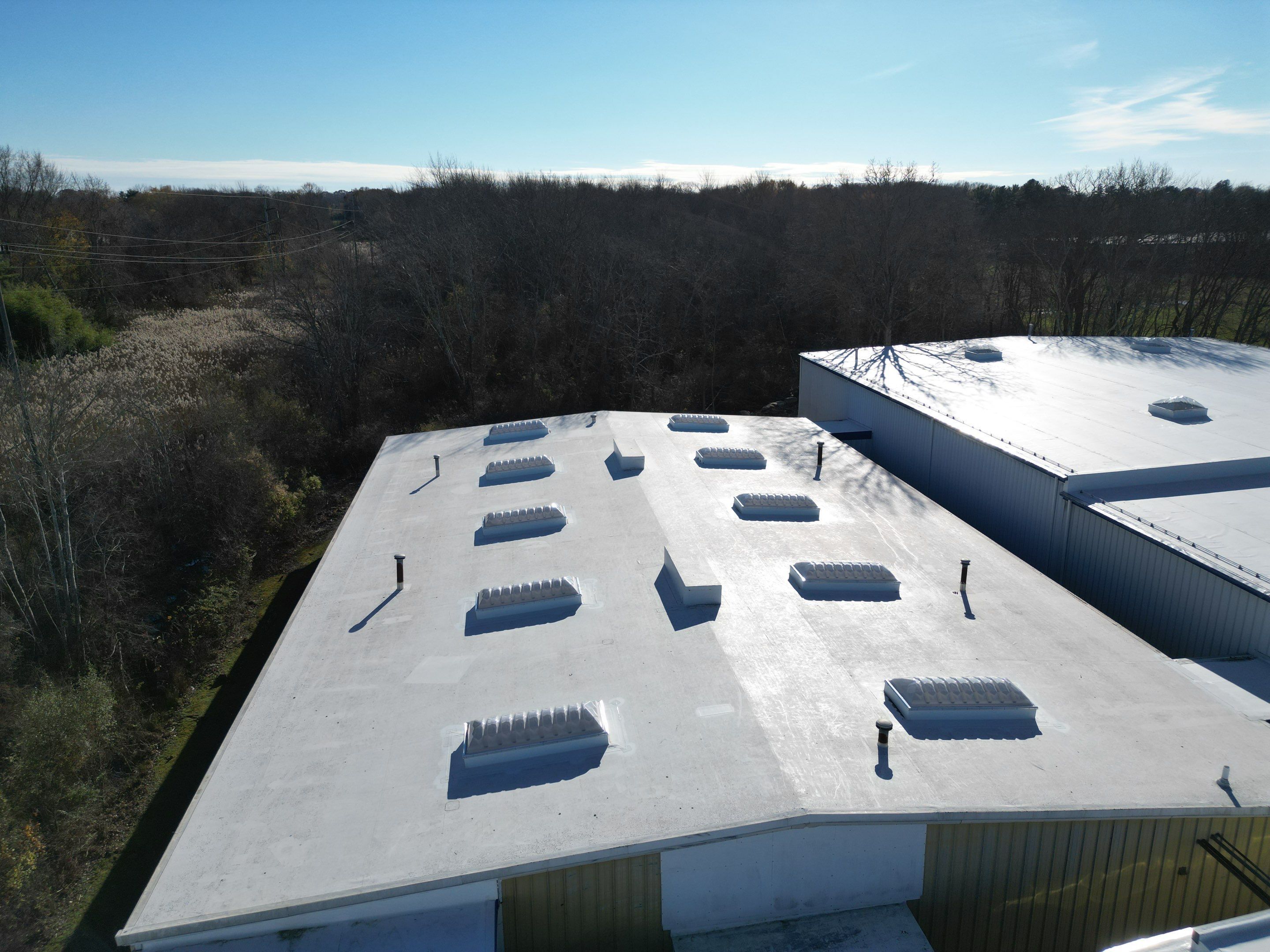 Warren Commercial Skylights — Dome Units Set Into a Low-Slope Membrane Roof