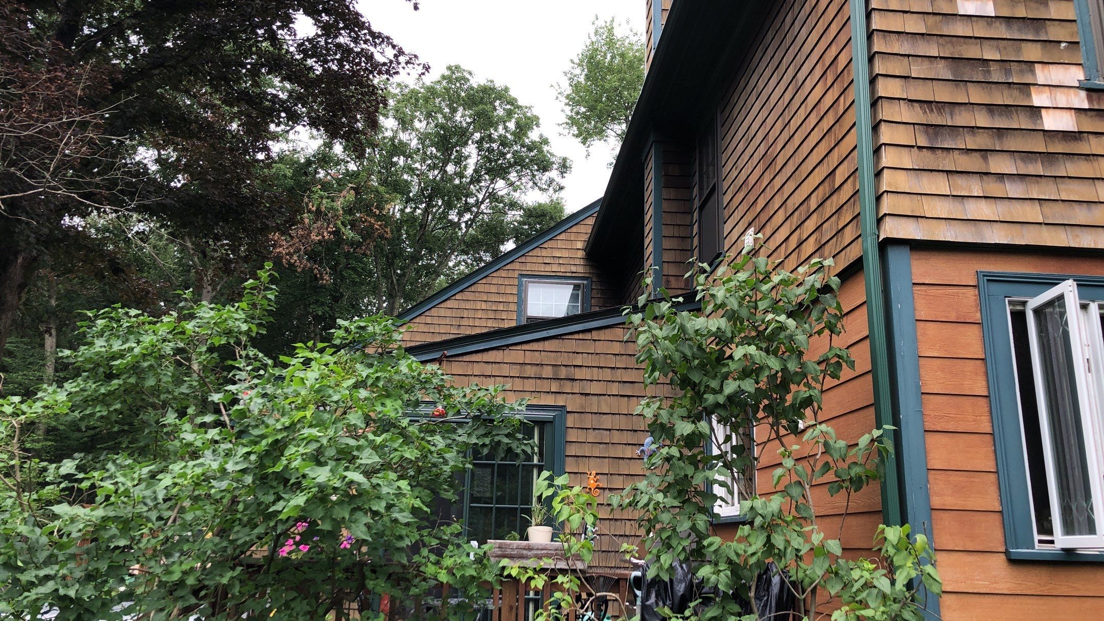 new cedar shake siding on side elevation
