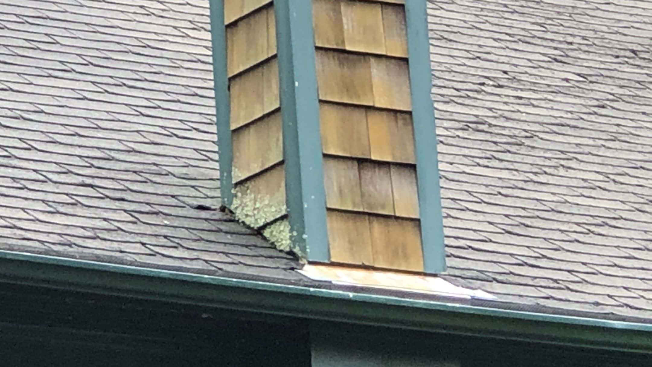 fresh cedar shake shingle detail