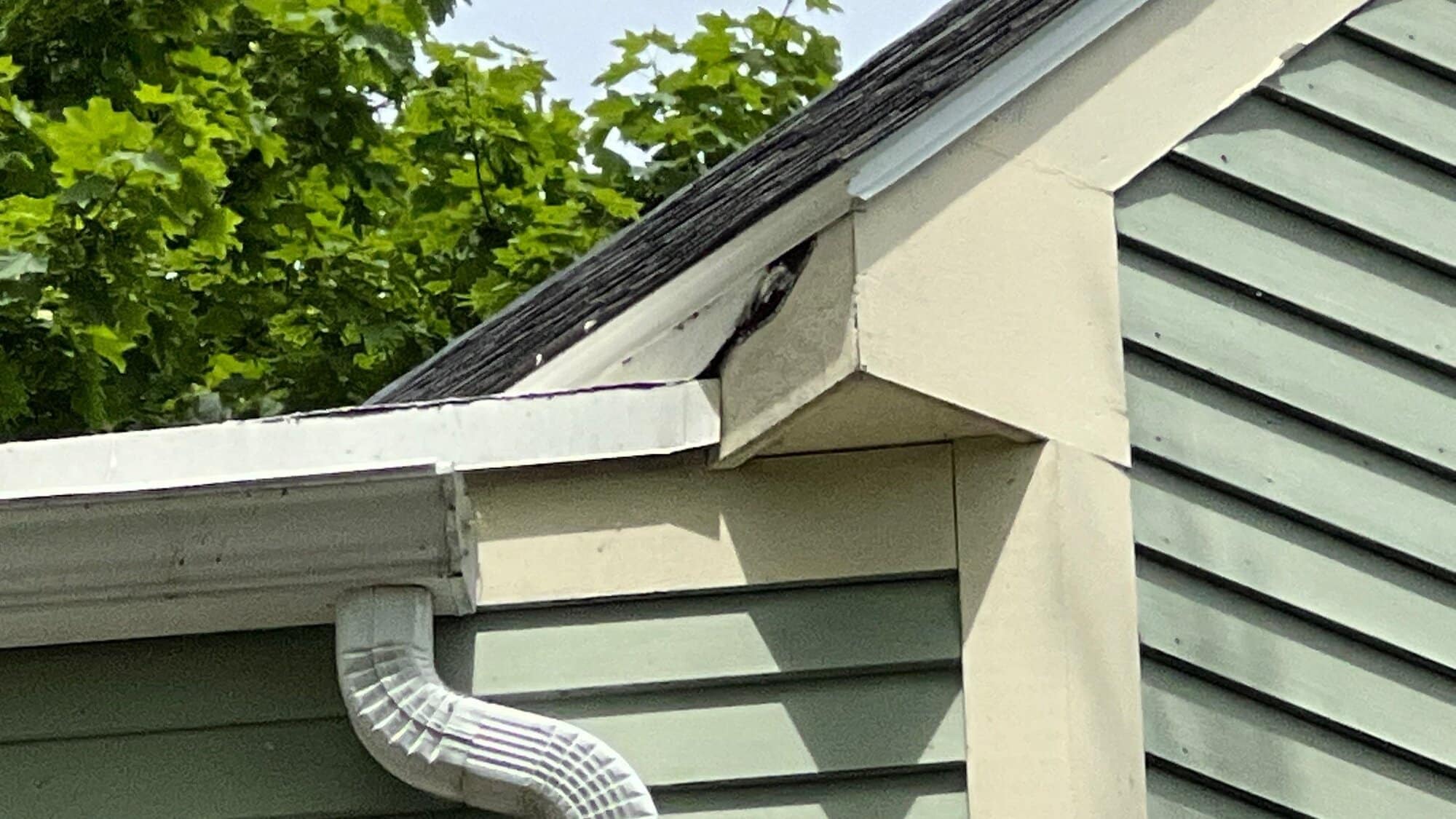After — New Seamless Gutters and Downspouts for a Westerly, RI Clapboard Home