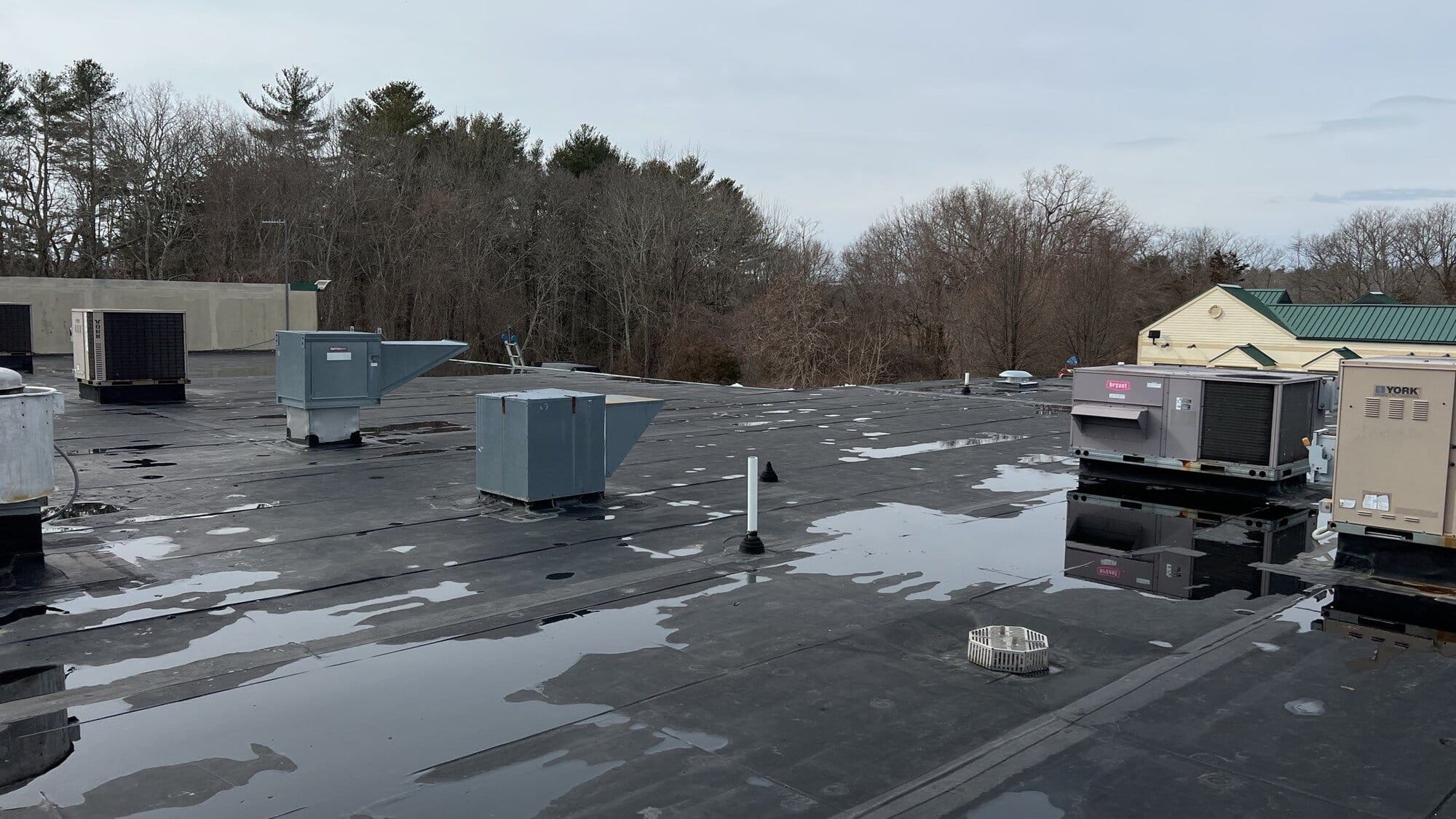 Exeter Commercial Low-Slope Membrane Roof for a Multi-Tenant Property
