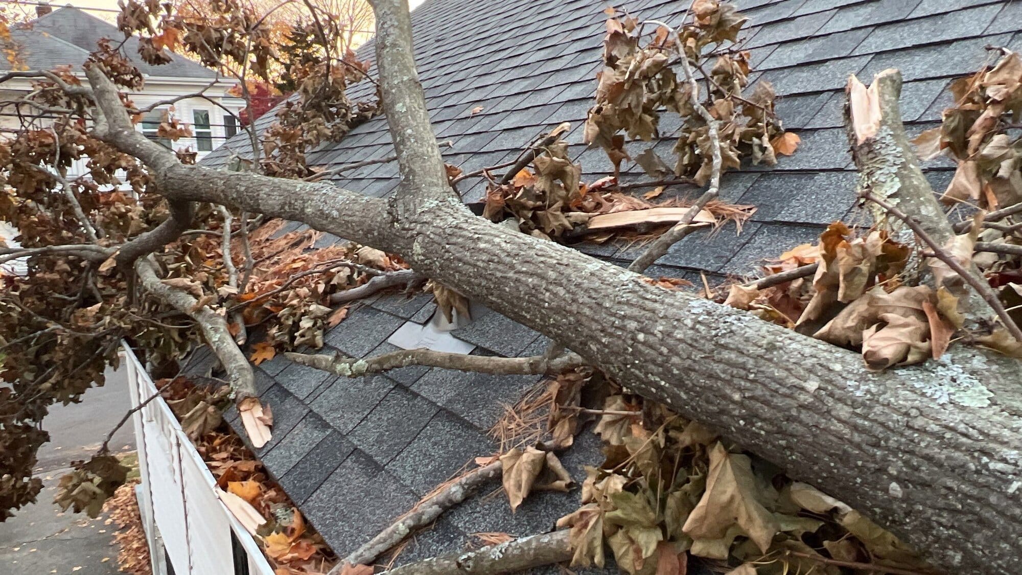 Pawtucket Storm Damage Restoration After a Tree Fell on the Roof