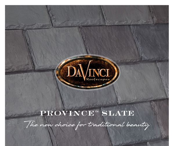 Davinci Province Cover