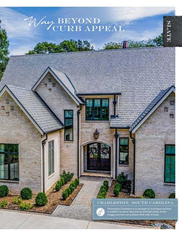 Davinci Shake Home 1