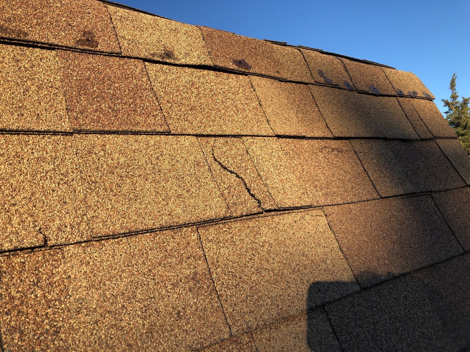 Wind-Storm Roof Restoration in Jamestown — CertainTeed Landmark Heather Blend